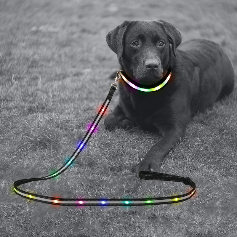 [Australia] - Yacig LED Dog Leash - USB Rechargeable, Color Changing Night Safety Dog Leashes for Small Medium and Large Dogs 4 FT x 0.8" Wide 