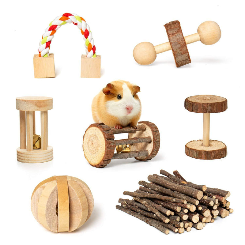 Rocinha Rabbit Toys Guinea Pig Toys Chinchilla Hamster Chews Toys Bunny Bird Exercise Molar Wooden Accessories (Pack of 7) - PawsPlanet Australia