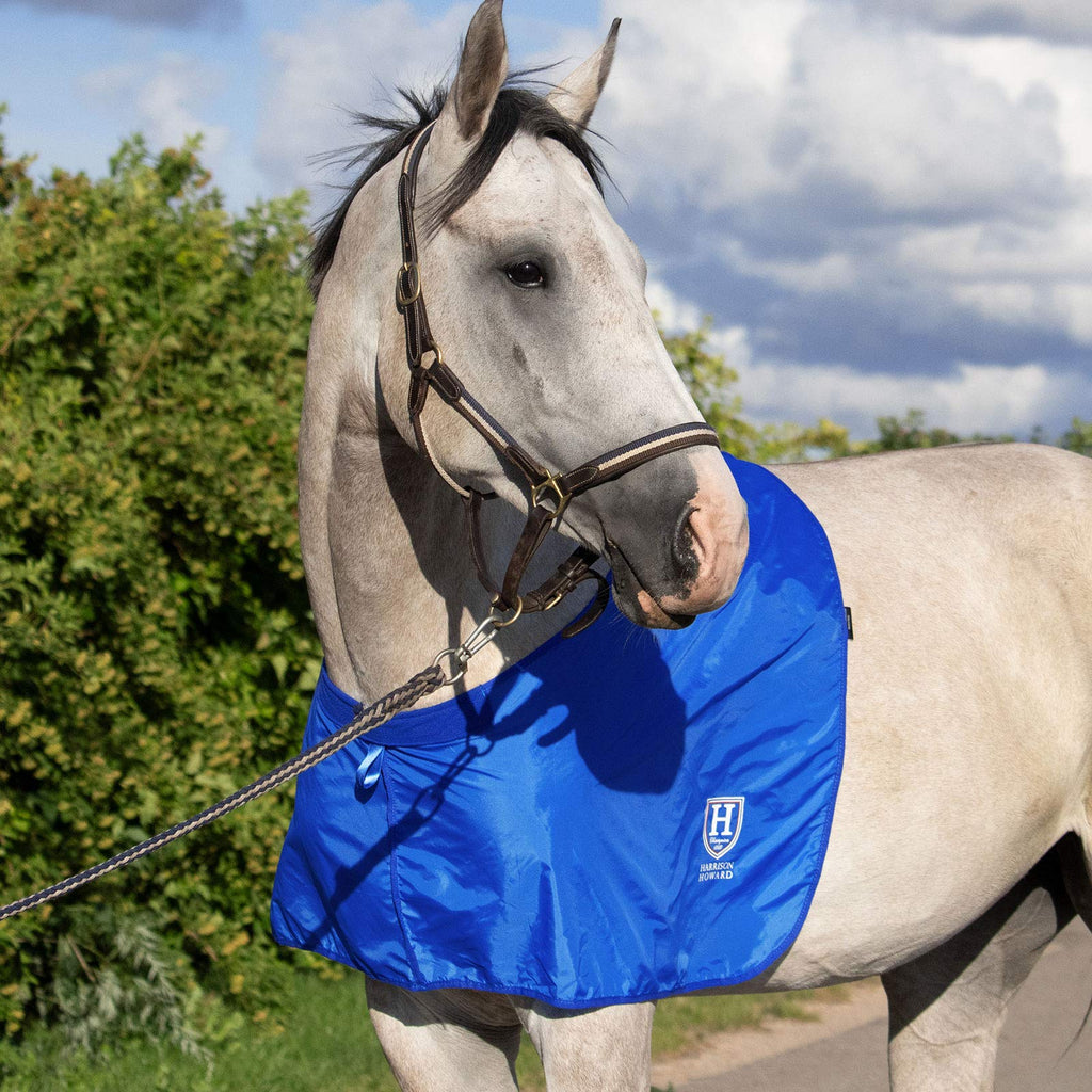 Harrison Howard Horse Shoulder Guard Anti-Rub Bib Chest Saver Wither Protector Full (Large) Champion Blue - PawsPlanet Australia