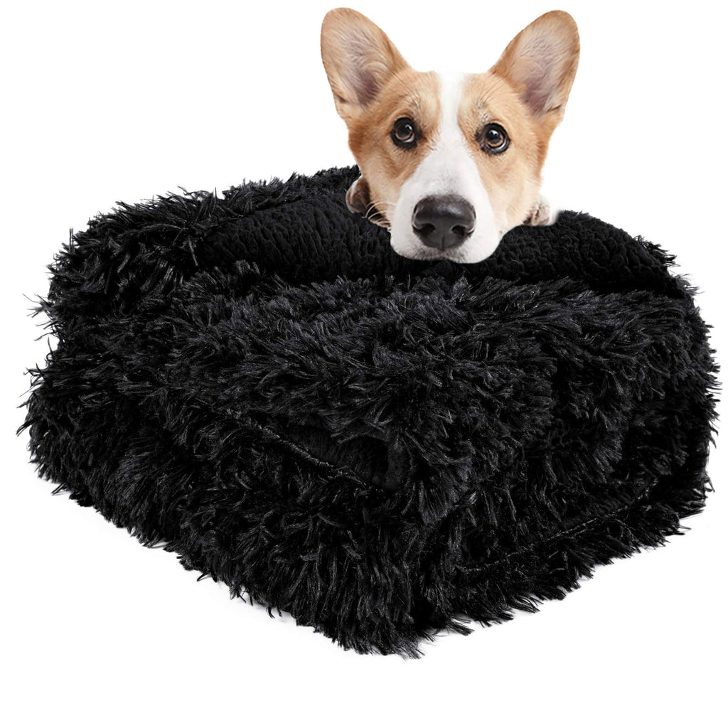 [Australia] - LOCHAS Luxury Velvet Fluffy Dog Blanket, Extra Soft and Warm Sherpa Fleece Pet Blankets for Dogs Cats, Plush Furry Faux Fur Puppy Throw Cover Small(20''x30'') Black 