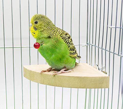 [Australia] - ZOHOKO Parrot Wood Perch, Bird Platform Playground for Hamster Gerbil Rat Mouse Lovebird Finches Conure Budgie 