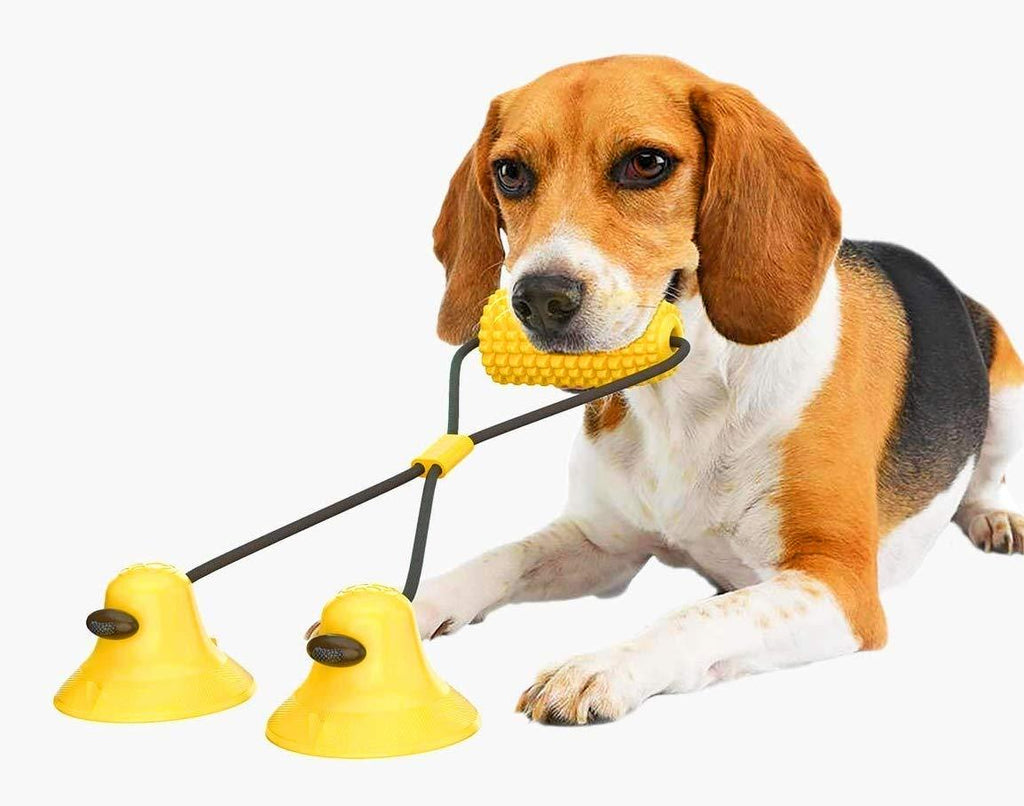 [Australia] - Upgrade 2 IN 1 Two Uses Dog Chew Double Suction Cup Rope Puzzle Toy - Tug of War Toy for Chewers and Toothbrush - with Food Dispensing and Teeth Cleaning Features -Teeth Cleaning Toy for Dogs 