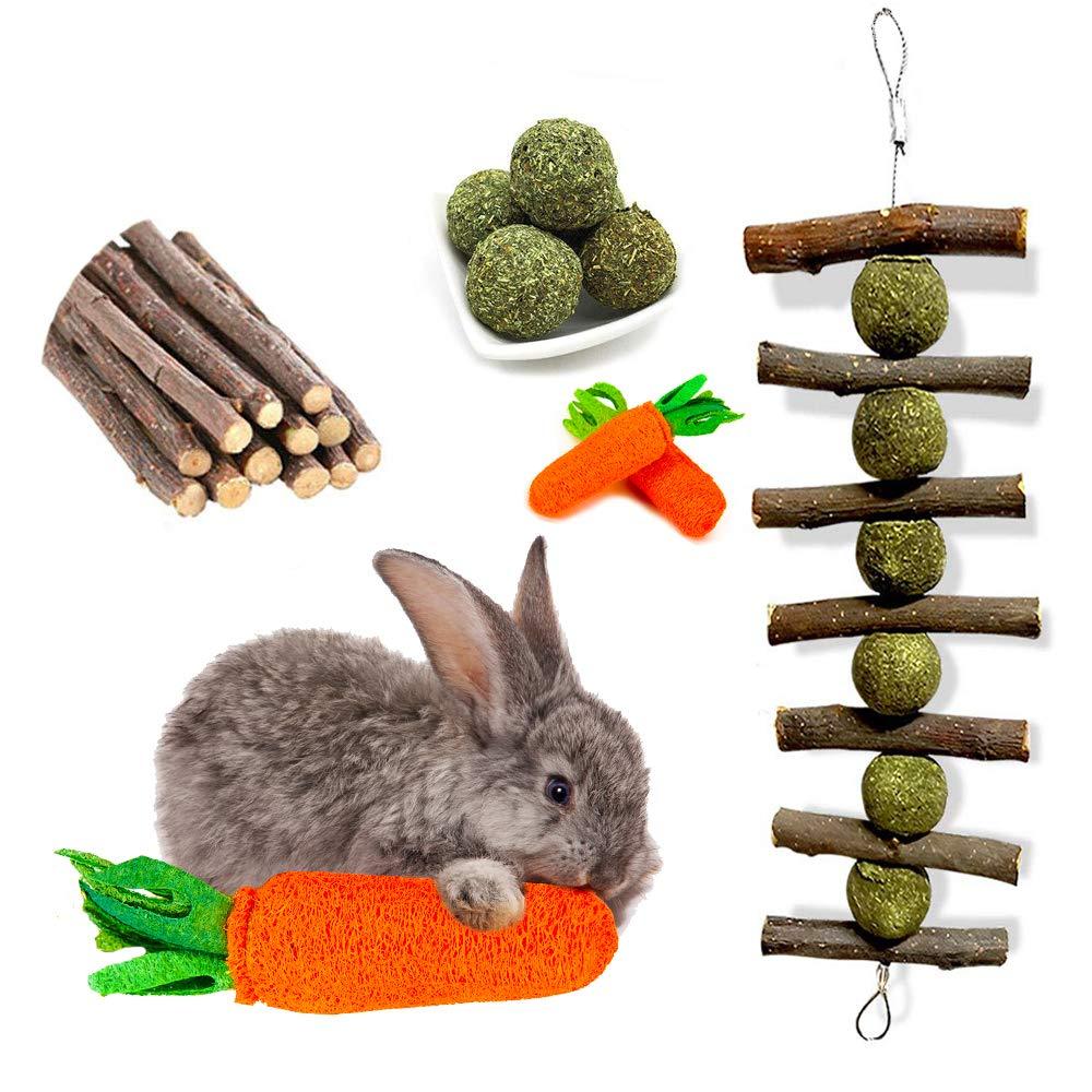 [Australia] - OVERTANG Rabbit Chew Toys, Improve Dental Health, No Glue, 100% Natural Materials by Handmade. Loofa Carrot Toys, Licorice Balls and Apple Sticks Toys. for Rabbits, Chinchillas, Guinea Pigs, Hamsters 