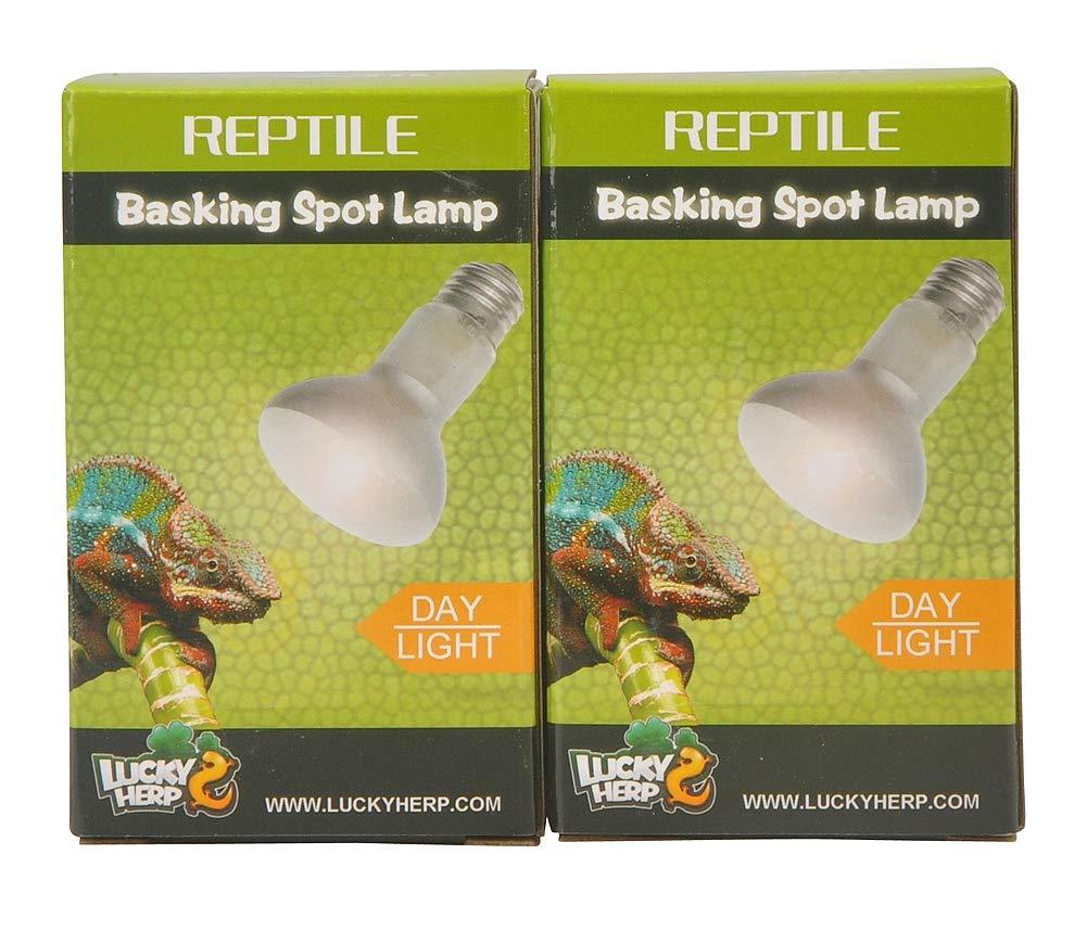 LUCKY HERP Reptile Basking Spot Lamp Heat Bulb,2-Pack 25 Watts - PawsPlanet Australia