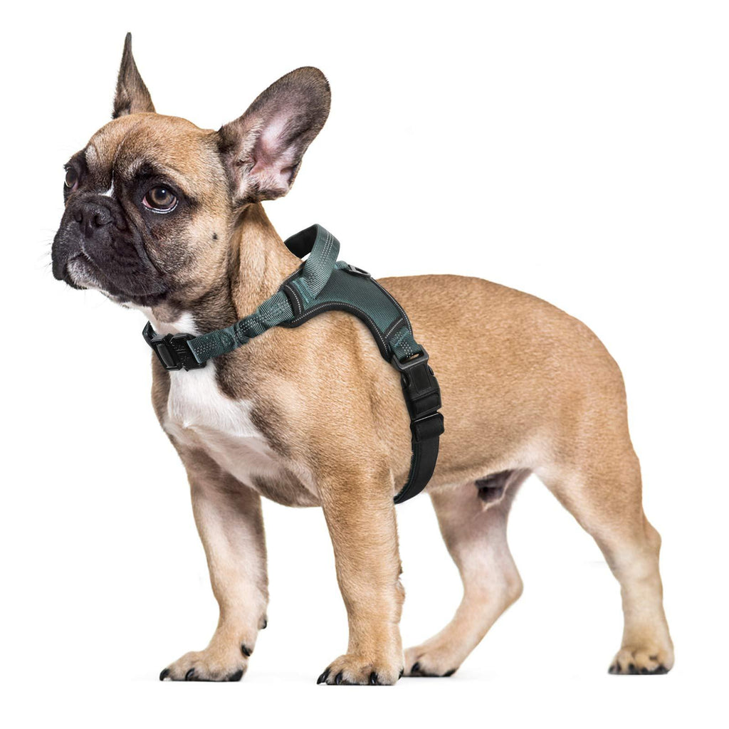 [Australia] - rabbitgoo Dog Harness, Dog Halter Harness with Soft Padded Straps & Shock-Absorbing Bungee Straps, Adjustable Dog Vest Harness with Padded Handle, Reflective Dog Walking Harness for Large, Medium Dogs 