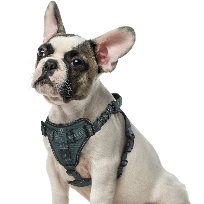 [Australia] - rabbitgoo Dog Harness No Pull, Adjustable Dog Walking Harness with 2 Leash Clips & Shock-Absorbing Bungee Straps, Soft Padded Pet Vest Harness Reflective with Control Handle for Large Medium Dogs 