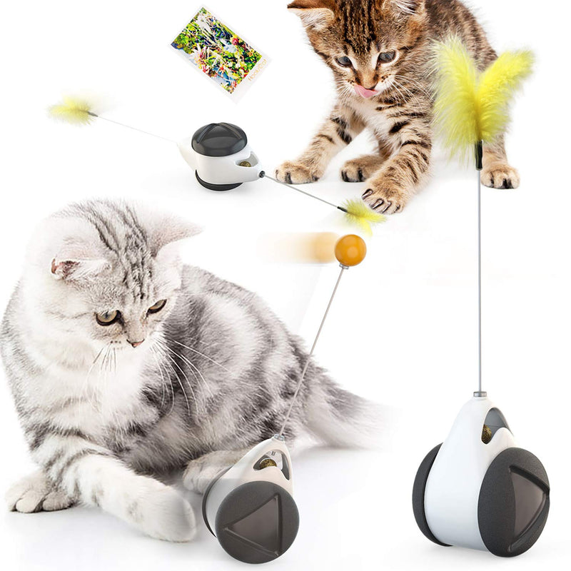 [Australia] - Hoolucat Interactive Cat Toy/Kitten Toy/Catnip Toy/Moving Cat Toy/Cat Feather Toy for Cat Wheel Training with 1 Feather and 1 Ball BLACK 