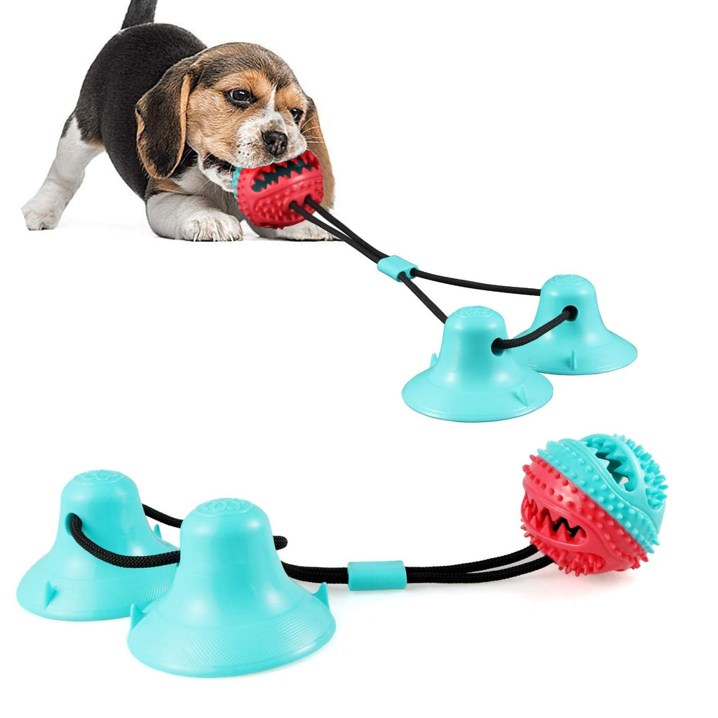 [Australia] - FANZ Dog Tug Toy with Double Suction Cup and Sticker- Interactive Dog Chew Toy for Teeth Cleaning, Pet Molar Bite Toy for Dogs Double Suction Cups 