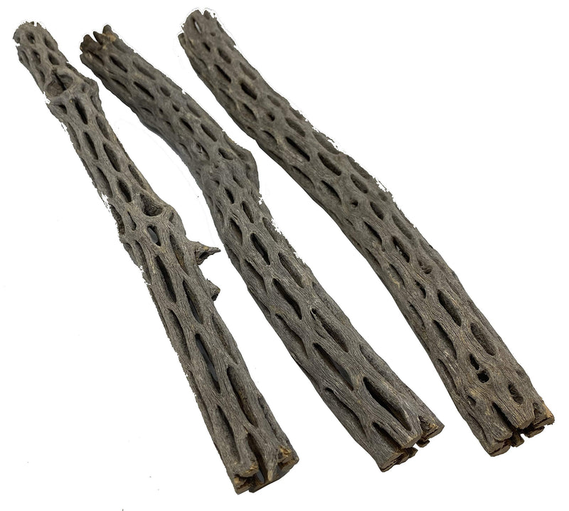 Awesome Aquatic Long Natural Cholla/Choya Wood 3 Pieces 12” for Shrimp Habitat and Food Treat Hermit Crabs Plecos Aquarium Decoration Lowers pH Hideouts and Chew Toys Reptiles Organic - PawsPlanet Australia