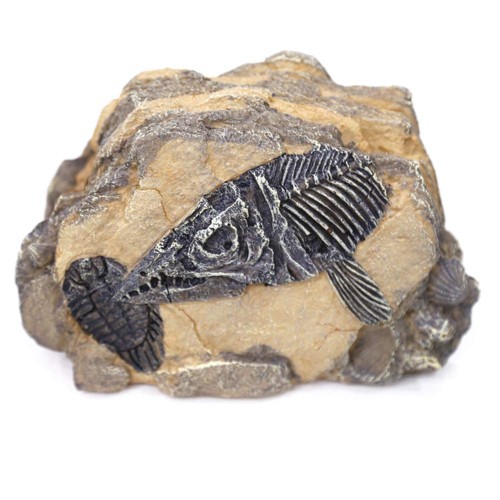 Reptiles-Amphibians Habitat-Hideaway Hideouts Aquarium-Decorations - Dinosaur Imitation Skull Model Fish Bone - PawsPlanet Australia