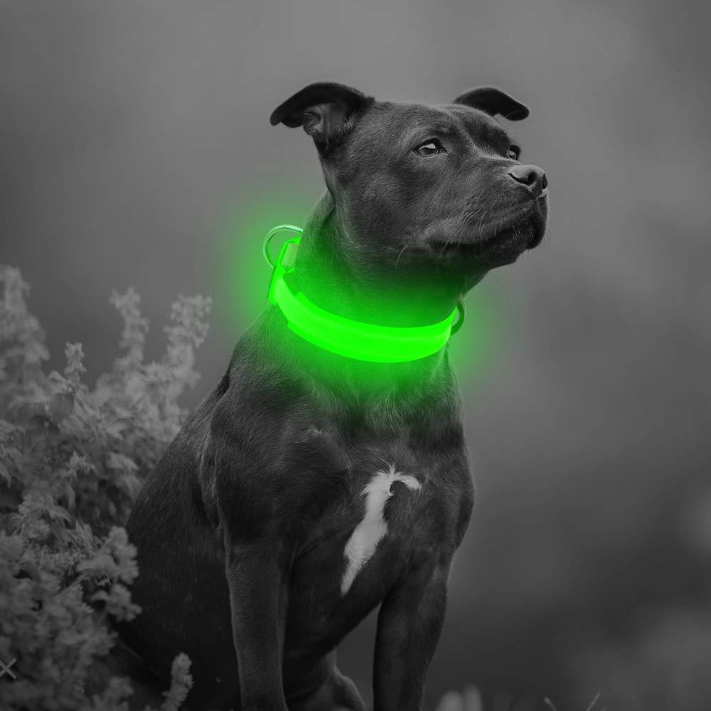 [Australia] - BSEEN Nylon LED Dog Collar - USB Rechargeable Adjustable Glowing Pet Collar, Light Up Puppy Collars for Nighttime Dog Walking Small Collar [15-18.9inch/38-48cm] Neon Green 