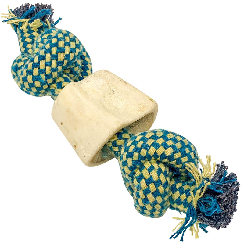 Choy All Natural Rope and Water Buffalo Bone Dog Chew and Dog Toys (Eco-Friendly Interactive Dog Toys, Dog Chew Toy, Dog Bone, Dog Rope Toy, and Dog Tug Toy in One) Three Style Options Available Small (Pack of 1) Small Rope - PawsPlanet Australia