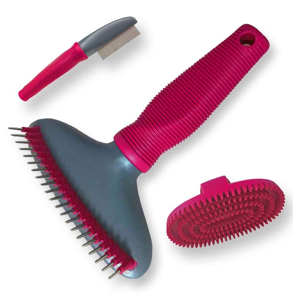 Enrych Undercoat rake Plus Bonus Items. Flea Comb & Rubber Curry Brush. Grooming Set for All Dogs, red and Gray (1083) - PawsPlanet Australia