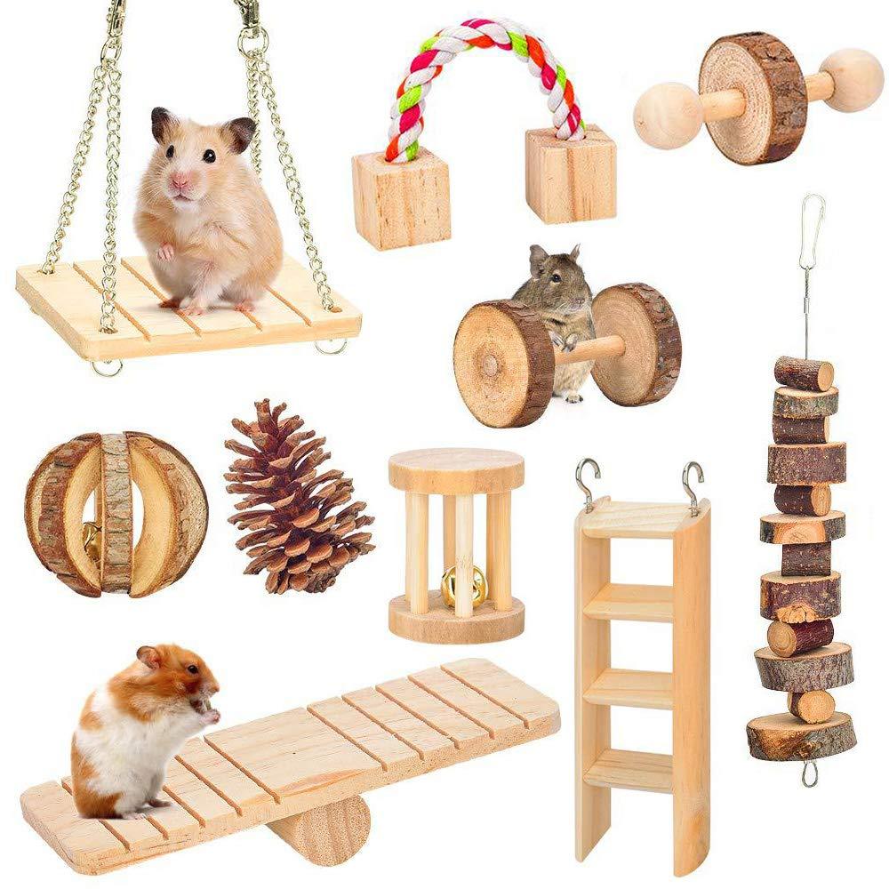 Amasawa 10 Pieces Hamster Chew Toys,Natural Wooden Toys,Gerbil Rat Guinea Pig Chinchilla Chew Toys,Roller Teeth Care Molar Toy,Suitable for Hamsters, Rabbits and Parrots to Play with Molar Toys - PawsPlanet Australia