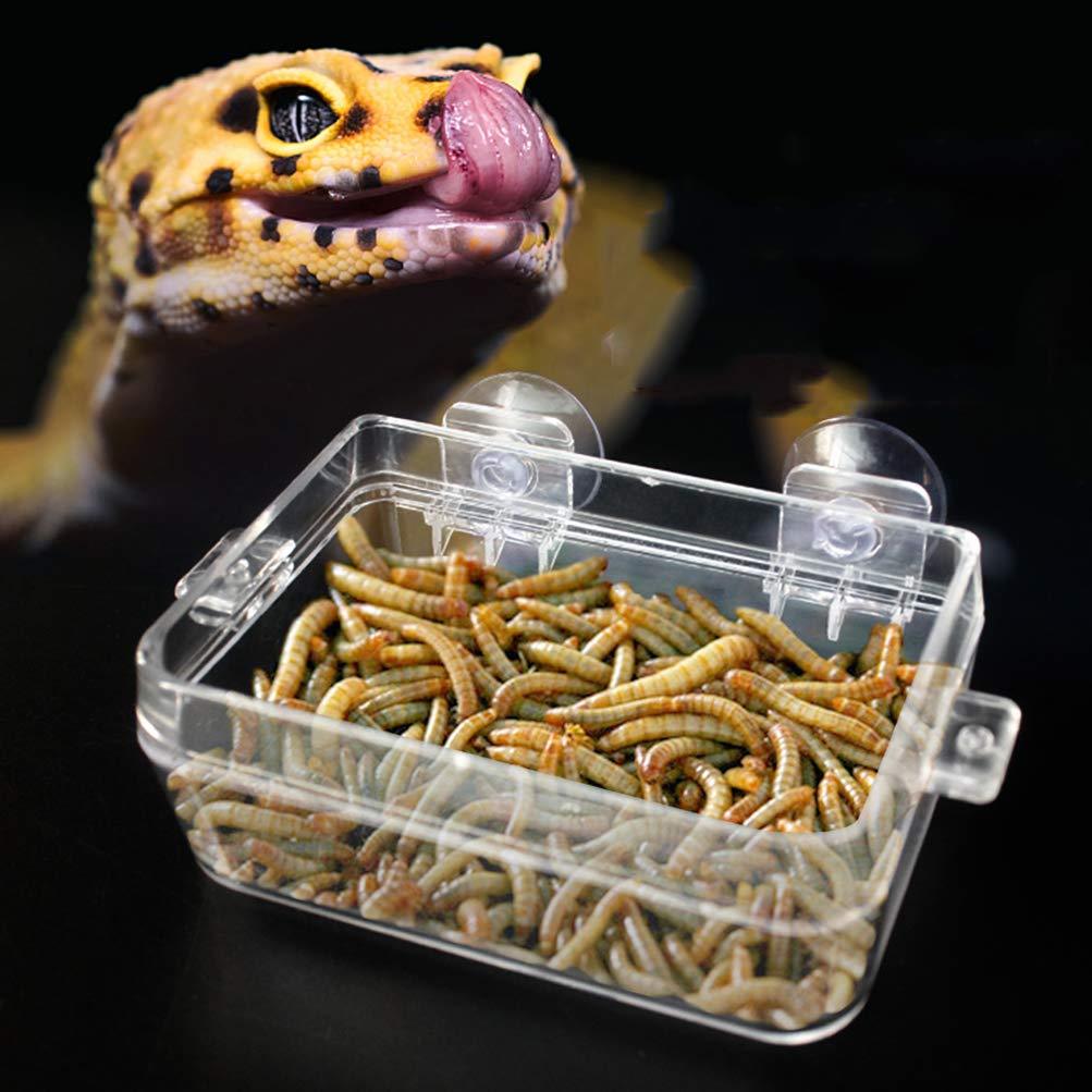 XEOGUIYA Anti Escape Reptile Feeder, Hanging Food Water Bowl Worm Live Food Container Anti-Escape Reptile Supplies Accessories - PawsPlanet Australia