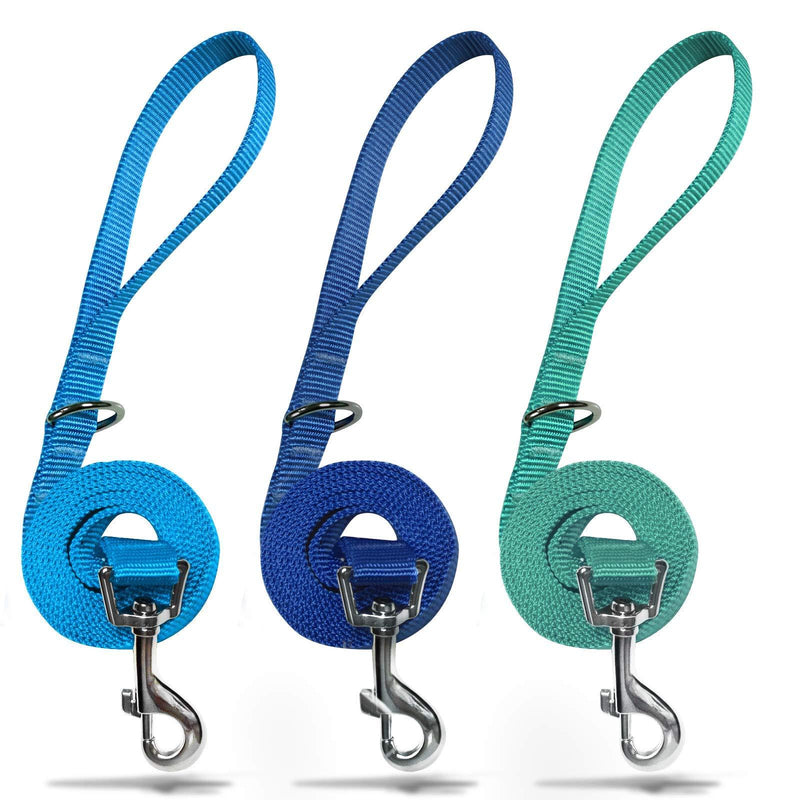 azuza 3 Pack Nylon Dog Leashes,Strong & Durable Basic Style Leash with Easy to Use Collar Hook,Available in Multiple Lengths for Puppy Small Medium and Large Dogs standard 3 pack 1"×4ft Blue - PawsPlanet Australia