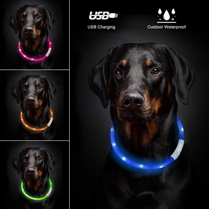 [Australia] - LED Dog Collar USB Rechargeable Glowing Pet Collar Adjustable Glowing Pet Collar Waterproof Flashing Light up Dog Collar Safety Lights for Small Medium Large Dogs/70cm Length/Size can be Cut,Blue Blue 
