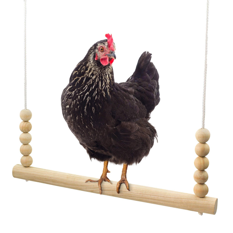 Backyard Barnyard Chicken Swing Toy for Coop (Round Bar) Handmade in USA! Natural Safe Large Wood Perch Ladder for Poultry Run Rooster Hens Chicks Pet Parrots Pollo Stress Relief for Birds - PawsPlanet Australia