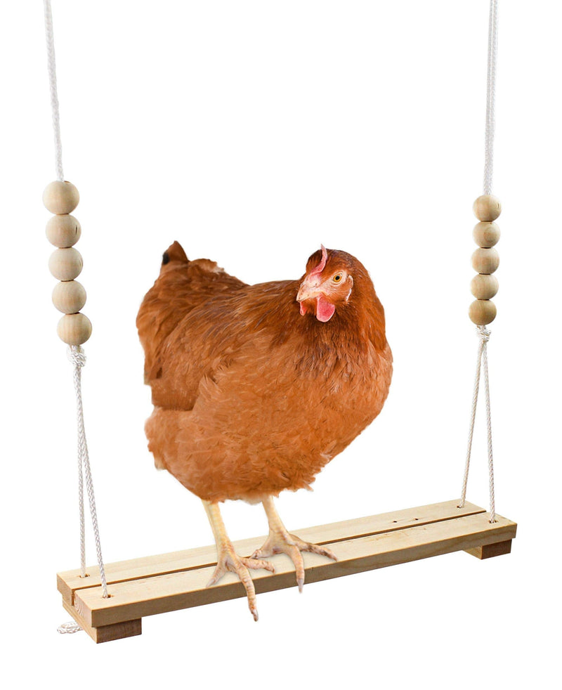 Chicken Swing Toy for Coop Natural Safe Wooden Accessories Handmade in USA! Large Durable Perch Ladder for Poultry Run Rooster Hens Chicks Pet Parrots Macaw Entertainment Stress Relief for Birds - PawsPlanet Australia