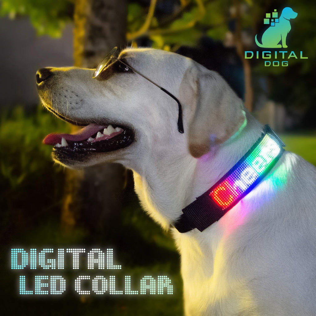 [Australia] - PetLuv "Digital Dog Interactive Programmable Bluetooth Scrolling Light Up LED Dog Collar Illuminated for Safety & Nighttime Multi-Colored Personalized Text & Graphics App Controlled 