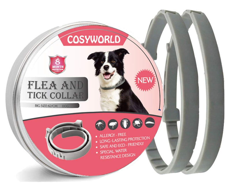 Cosyworld Flea & Tick Collar for Dogs - 100% Natural Oil Extract - Safe, Waterproof and Adjustable Flea Prevention - 8-Month Protection - PawsPlanet Australia