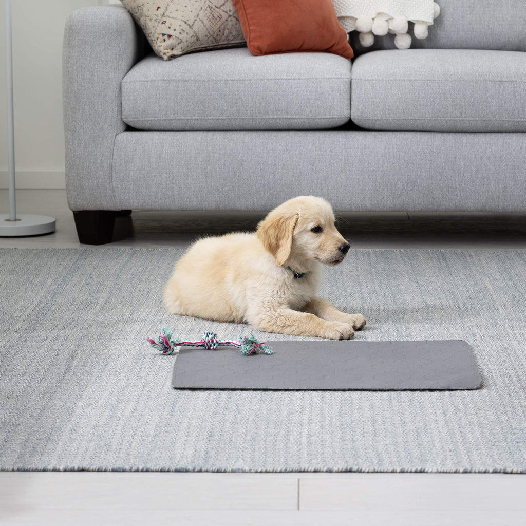 [Australia] - Brindle Washable Puppy Training Pad 18x24 