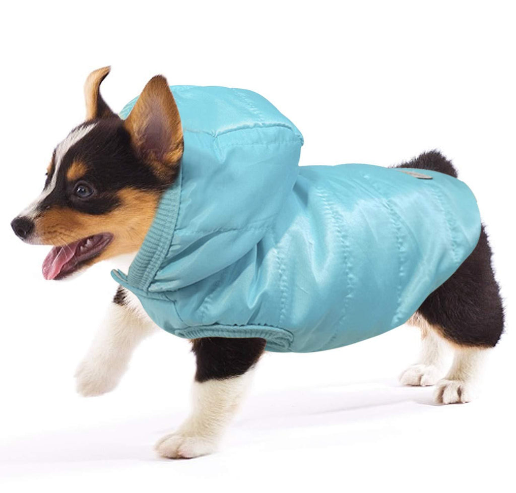 [Australia] - Takezuaa Dog Winter Coat Waterproof Windproof Dog Padded Jacket Warming Ultra Soft Dog Coats for Small Medium Dogs Puppy Clothes with Hooded. Baby Blue 