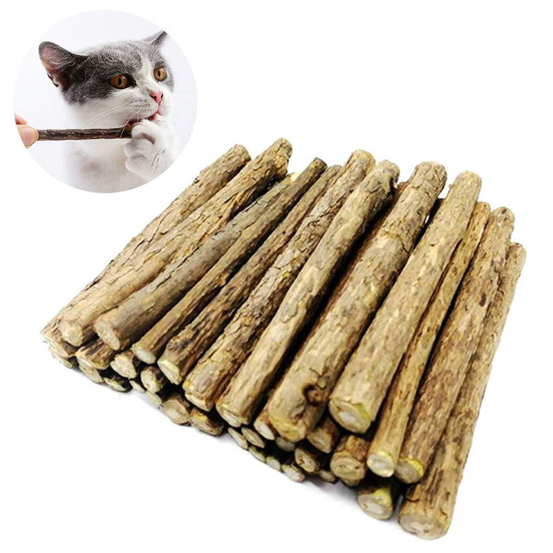[Australia] - Changeary 36 PCS Cat Catnip Sticks Natural Matatabi Silvervine Sticks for Cats - Kitten Kitty Cat Chew Toy and Cat Cleaning Teeth Molar Sticks 