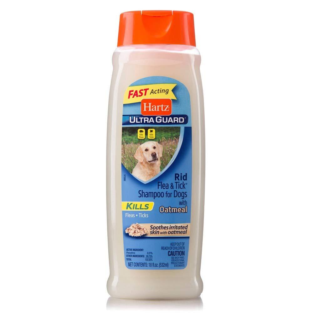 Hartz UltraGuard Rid Flea & Tick Shampoo for Dogs with Oatmeal, 18 fl oz - PawsPlanet Australia