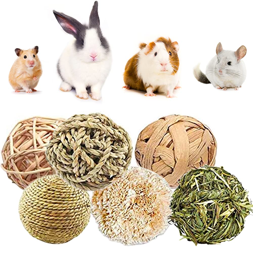 YANGWX Rabbit Guinea Pig Hamster Bunny Chew Toys, Natural Wooden Chinchillas Toys Exercise Accessories, Teeth Care Molar Toy for Hamster Rabbits Gerbils Bird Parrot(7CM&10CM)-6pcs M:6PCS - PawsPlanet Australia