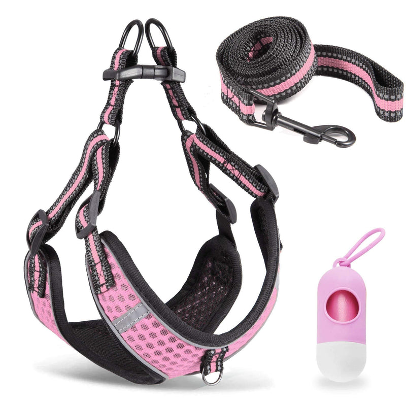 Btromeshy Step-in Dog Harness,Small Dog Harness and Leash Set,Adjustable 3M Reflective Pet Dog Vest for Puppy,Soft Air Mesh Step-in Harness for Small Medium Breed XS(Chest:16.9-20.9") Pink - PawsPlanet Australia