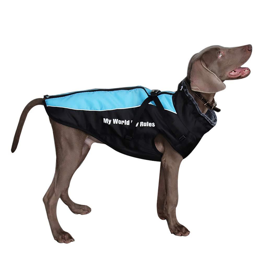 [Australia] - Dog Jacket - Winter Coat for Dogs Extra Warm Plush Collar Waterproof Windproof Pet Jacket for Hiking Camping with Zipper Reflective Dog Vest for Medium Large Dogs Build-in Harness (2XL, Blue) XX-Large 