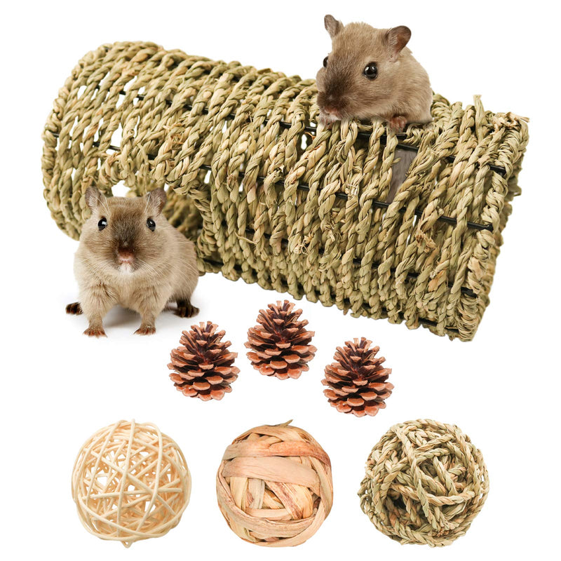 suruikei Hideaway Seagrass Tunnel with Balls, Grass Tunnel House, Small Animal Activity Center, Multiple Entrances Makes This Ideal for Multiple Pets,Perfect for Gerbils,Hamsters and Chinchillas 7.8"Lx3.93"W - PawsPlanet Australia