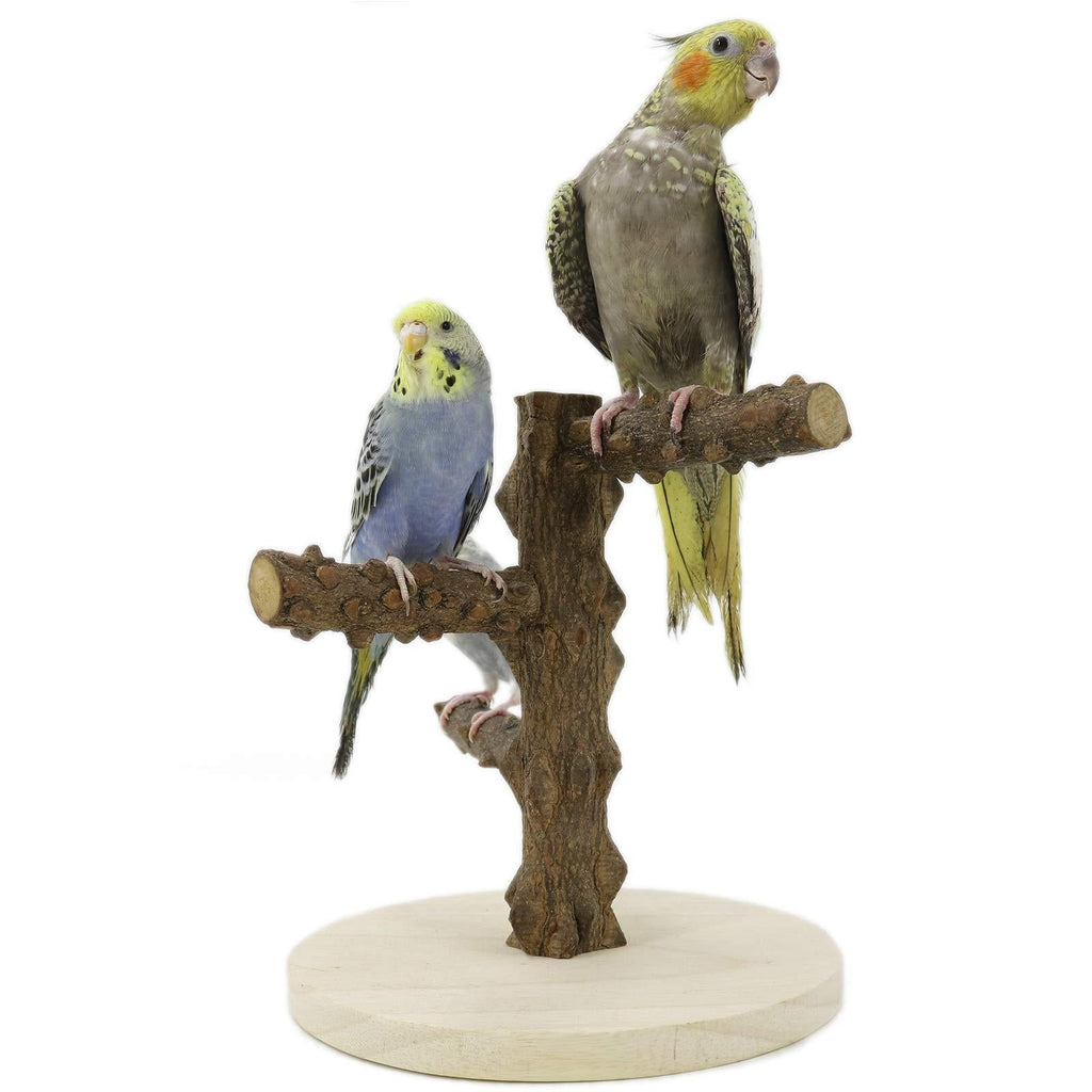 YINGGE Parrots Playstand Bird Playground Wood Perch Gym Stand Exercise Playgym for Conure Lovebirds - PawsPlanet Australia