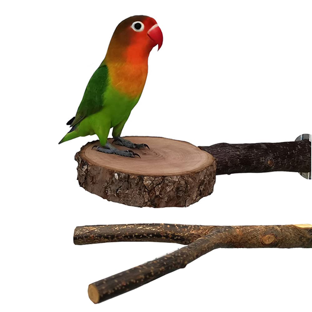 Nynelly Parrot Bird Perch Nature Wooden Fork Stand, Wooden Parrot Platform Natural Apple Wood Playground for Small Parakeets,Macaws, Parrots, Finches - PawsPlanet Australia
