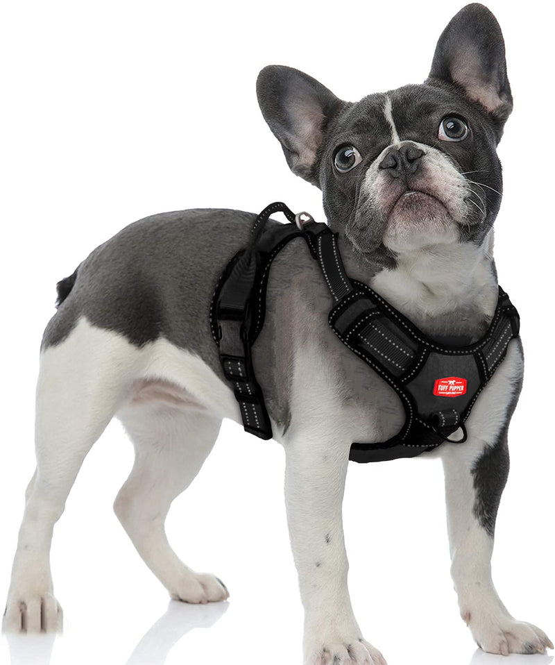 Upgraded for 2022 - Metro No Pull Dog Harness | Reflective Dog Harness | Front/Back Leash Clips | Safety Handle | Padded Training Dog Harness for Comfort | Adjustable Small Medium Extra Large Dogs Small (Neck: 12-17" , Chest: 15-19") Epic Black - PawsPlanet Australia