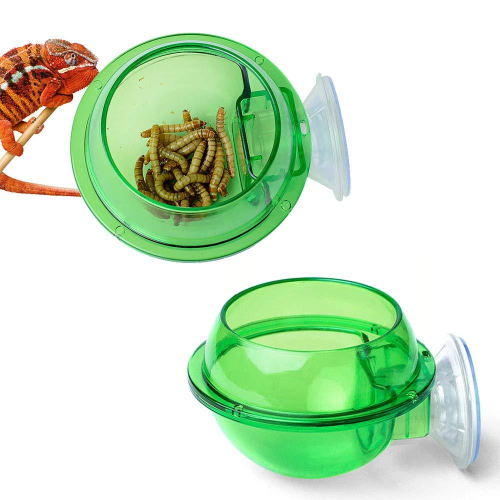 ass Anti-Escape Reptile Cup Gecko Bowl, Suction Cup Reptile Feeder，Chameleon Accessories, Worm Live Fodder Container,Translucent Home Pet Feeder Supplies Accessories for Tortoise Gecko Snakes Iguana - PawsPlanet Australia