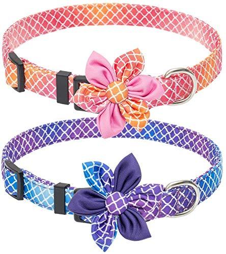 BINGPET Dog Collar for Medium and Large Dogs - 2 Pack Adjustable Pet Doggy Collars with Detachable Cute Flower Decorations Unique Gradient Pattern, Adjustable 12.9" to 21.6" Pink - PawsPlanet Australia