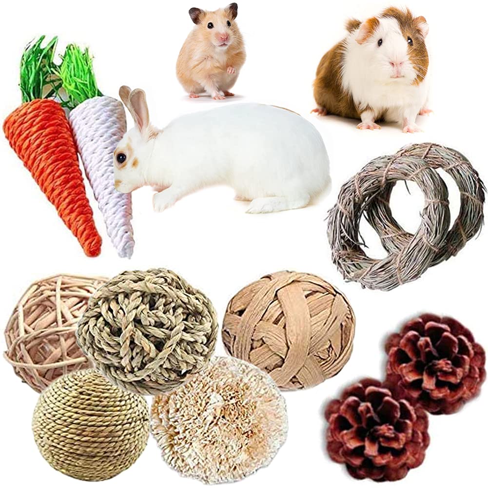 YANGWX 11 Pcs Rabbit Hamster Chew Toys, Small Animal Activity Play Chew Toys for Cleaning Teeth, Rattan Woven Straw Fun Toys Bite Filler for Bunny Hamster Guinea Pigs Gerbils L:11PCS - PawsPlanet Australia