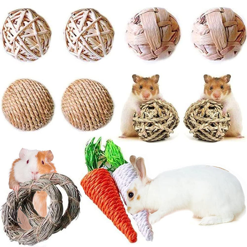 YANGWX Rabbit Toys, Guinea Pig Toys, Hamster Bunny Chew Toys, Small Animal Activity Play Chew Toys, Guinea Pig Tooth Cleaning Toys for Rat, Gerbil, Chinchillas - 12pcs M:12PCS - PawsPlanet Australia