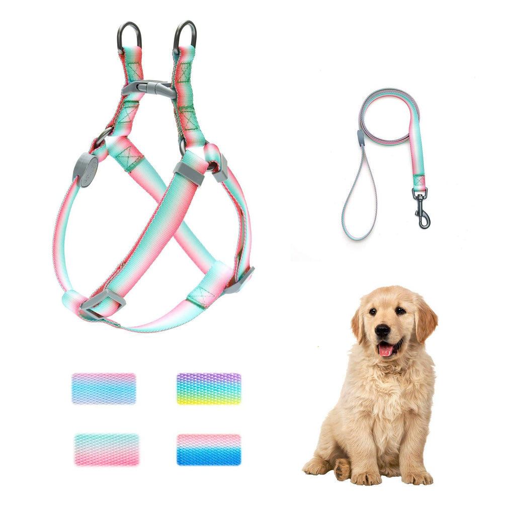 keezeg Dog Harness, Basic Halter Vest Harness, Adjustable Soft Strap Harness-S-GD FR Rainbow-Blue S - PawsPlanet Australia