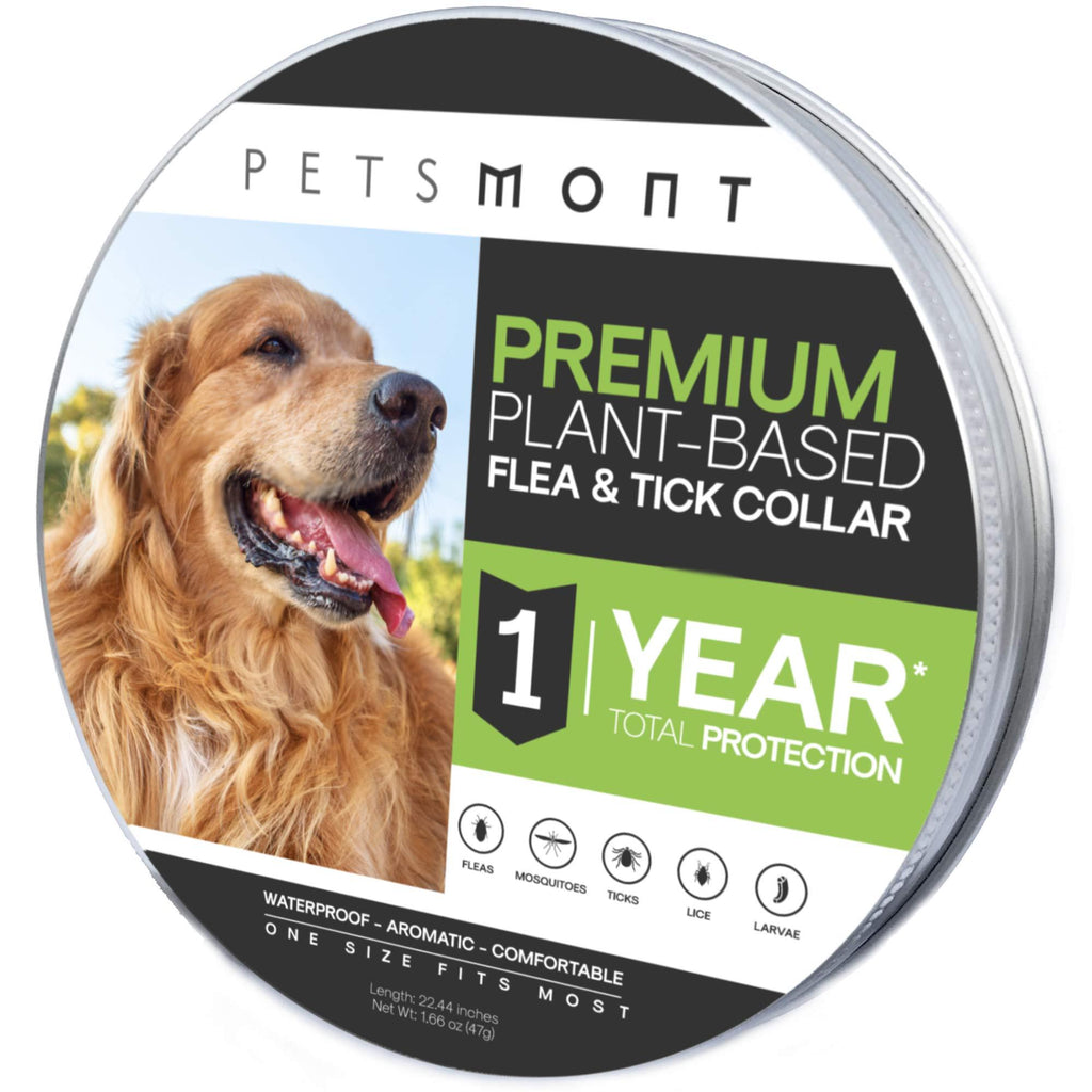 Petsmont Flea Collar for Dogs, Tick Collar for Dogs, Flea and Tick Collar for Dogs, Dog Flea Collar, Unique Plant Based Formula, Small to Extra Large, 1 Year Protection, Stone Gray Color - PawsPlanet Australia
