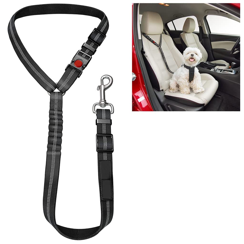 Comfortable Dog Seat Belt Harness for Car - 2-in-1 Leash and Restraint Secures to Headrest. Adjustable Bungee, Strong, Durable, 360 Degree Swivel Attach Won't Twist, Reflective, Easy to Use 1 pack Black - PawsPlanet Australia