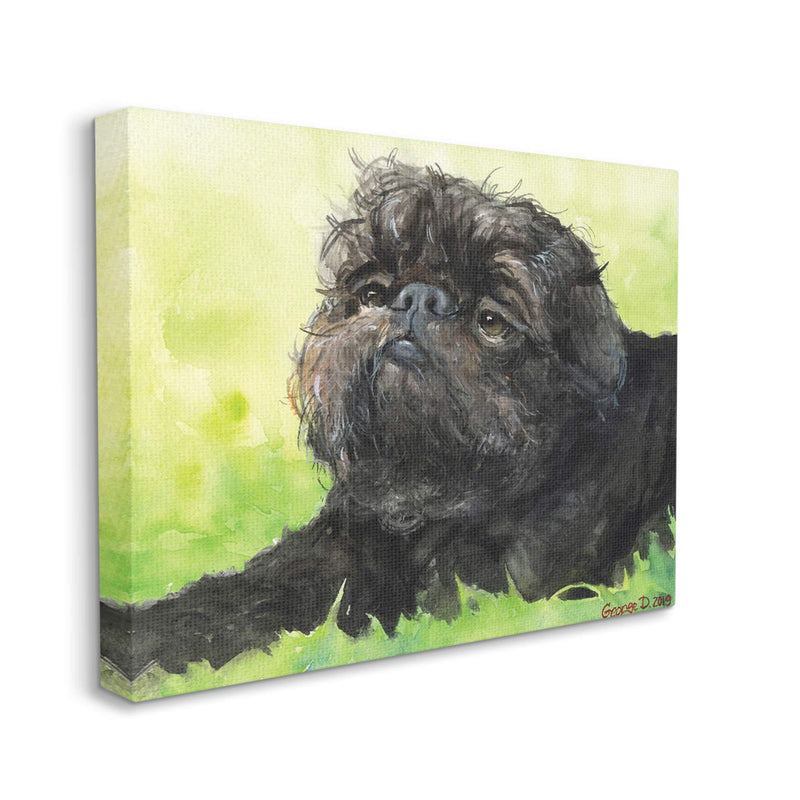 Stupell Industries Brussel Griffon Pet Dog Portrait Green Black, Design by George Dyachenko Canvas Wall Art, 16 x 20 16x20 - PawsPlanet Australia