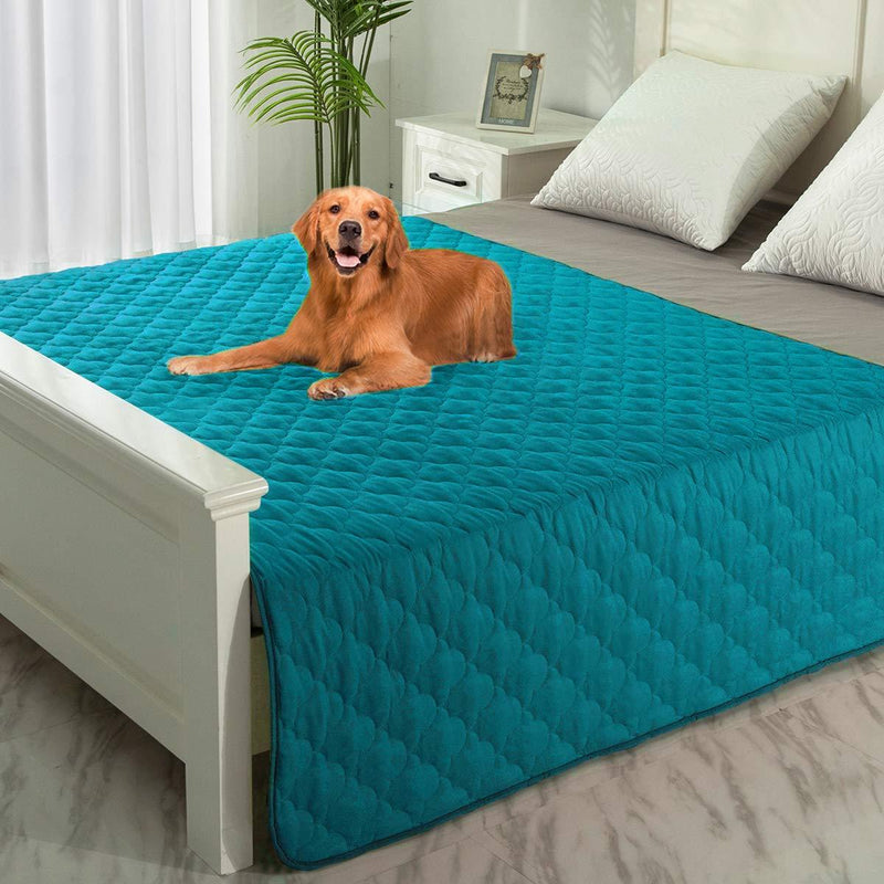 SPXTEX Dog Bed Covers Dog Rugs Pet Pads Puppy Pads Washable Pee Pads for Dog Blankets for Couch Protection Super Soft Pet Bed Covers for Dog Training Pads 1 Piece 52"x82" Aqua - PawsPlanet Australia