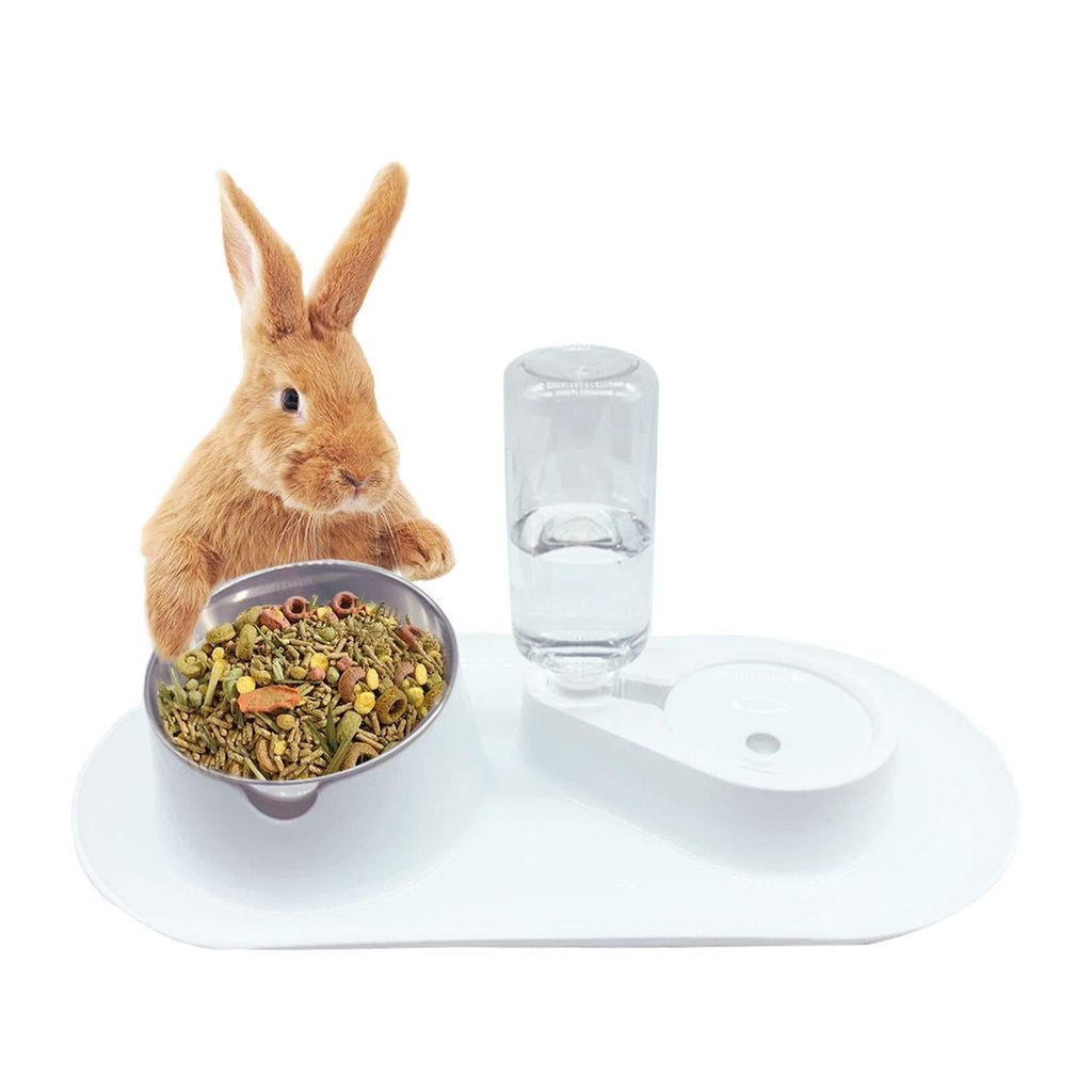 Tfwadmx Rabbit Double Bowls Bunny Automatic Water Dispenser Detachable Plastic Bottle Adjustable Titled Neck Protection Food Feeder for Chinchilla Cat Puppy Squirrel and Other Small Animals - PawsPlanet Australia