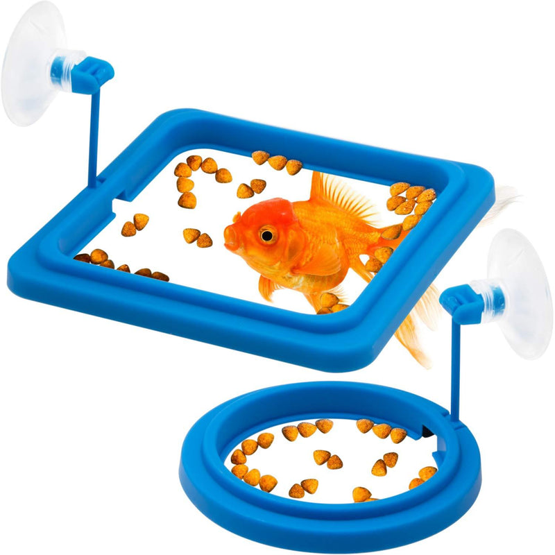 QA 2 Pieces Fish Feeding Ring Aquarium Fish Safe Fixed-Point Floating Fish Food Feeder Circle Square and Round with Suction Cup, Reduces Wastage and Maintains Water Quality for Fish Tank - PawsPlanet Australia