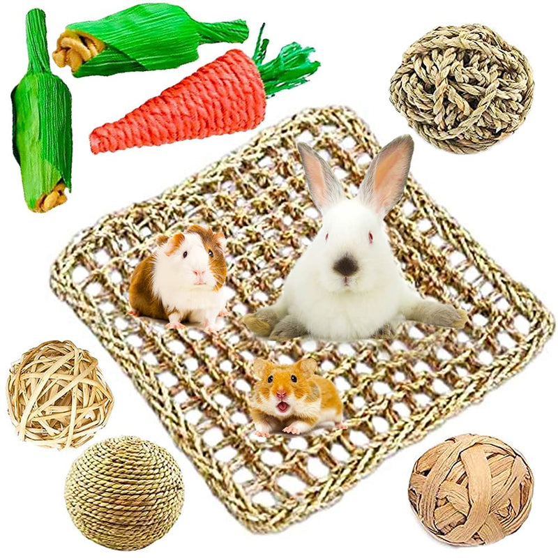 YANGWX Rabbit Guinea Pig Hamster Bunny Chew Toys, Natural Wooden Chinchillas Toys Exercise Accessories, Teeth Care Molar Toy for Hamster Rabbits Gerbils Bird Parrot - 8PCS M:8PCS - PawsPlanet Australia