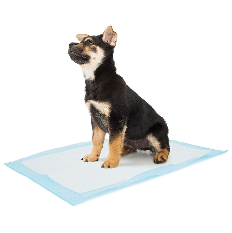 Bolux Dog and Puppy Training Pads, Disposable Dog Pee Pads, Ultra Absorbent & Leak-Proof Pet Underpads, Dry Quickly Pee Pad for Dogs Cats Rabbits or Other House Training Pets 17.8"*23.5" (45*60cm) - 50 Counts - PawsPlanet Australia
