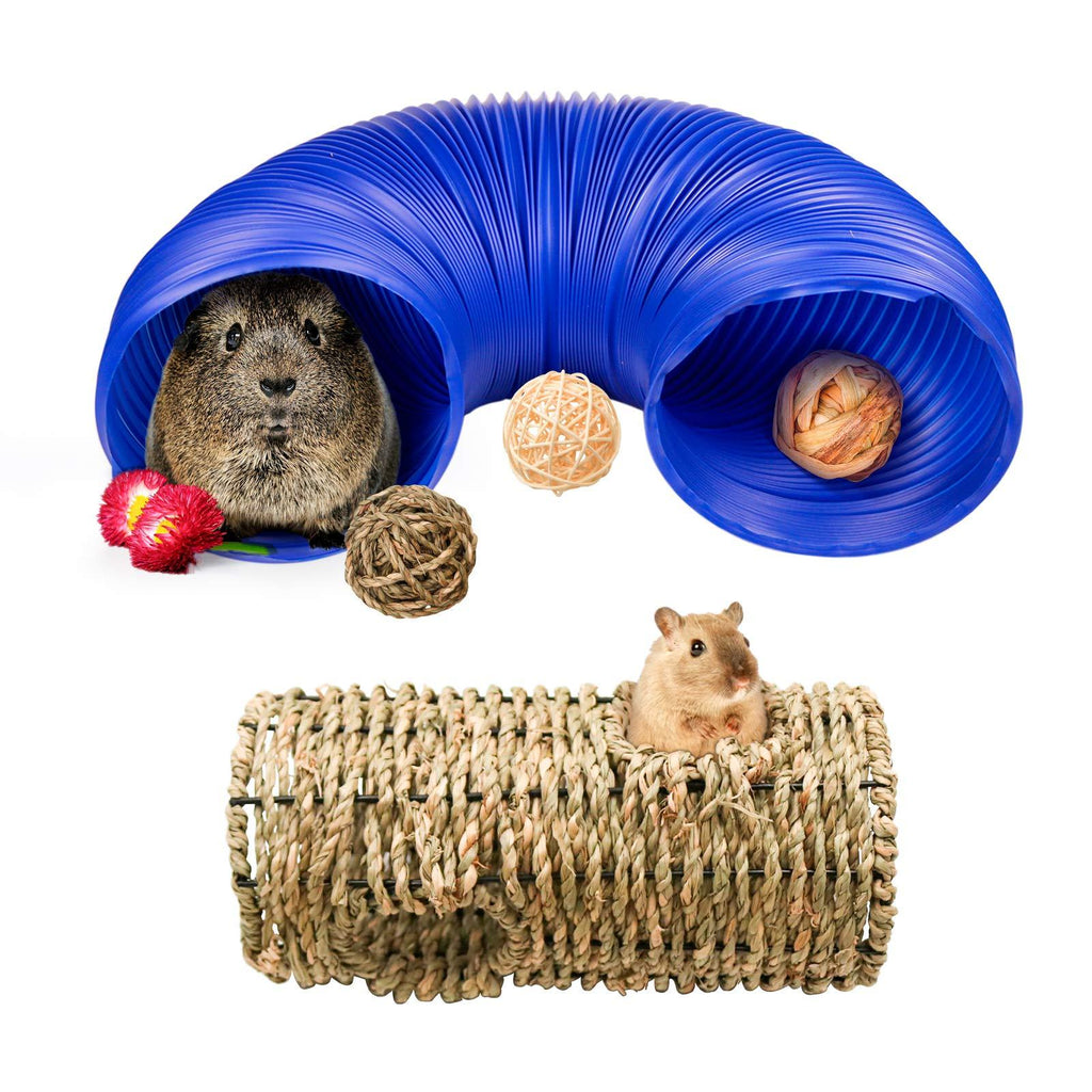 Bac-kitchen 2 Pack Small Animal Play Tunnel,Play Tunnel & Seagrass Tunnel & 3Pack Grass Balls,Collapsible Plastic Tube and Multiple Entrances Grass Tunnel Perfect for Hamsters,Chinchillas,Rats Blue-M+Grass - PawsPlanet Australia